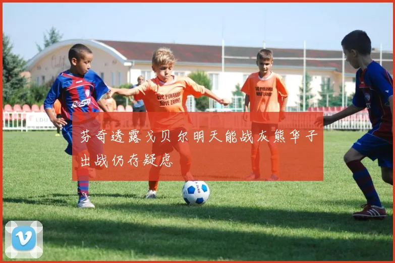 芬奇透露戈贝尔明天能战灰熊华子出战仍存疑虑