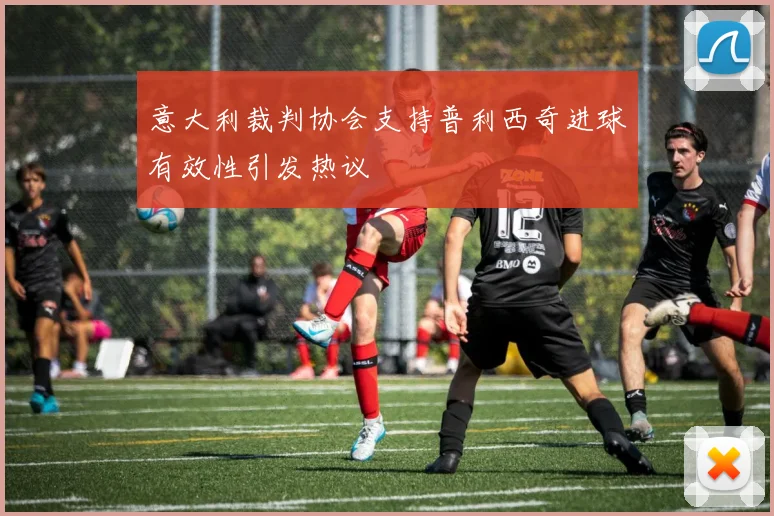 意大利裁判协会支持普利西奇进球有效性引发热议