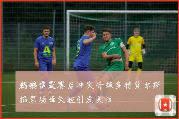 鹈鹕雷霆赛后冲突升级多特费尔斯掐架场面失控引发关注