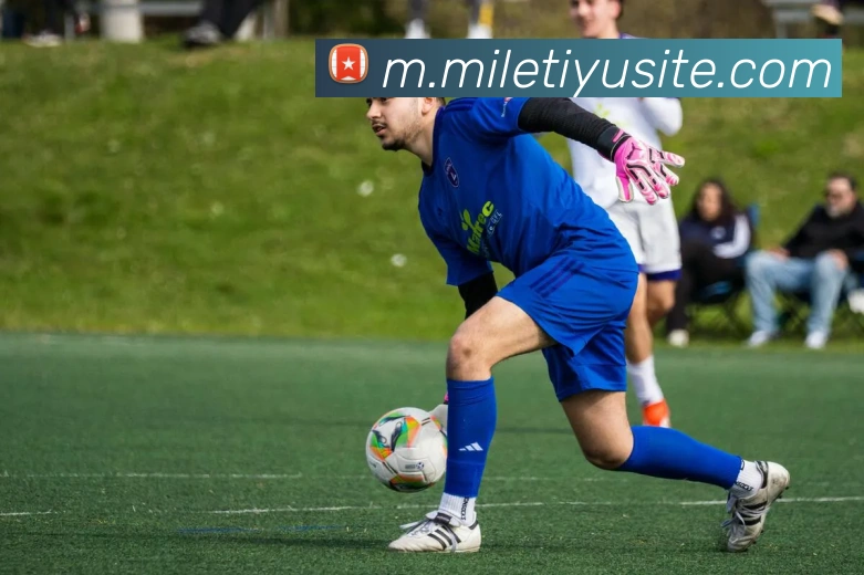 米乐体育平台生态图